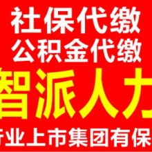 个人社保代理与公积金代理 代办服务的全面解析